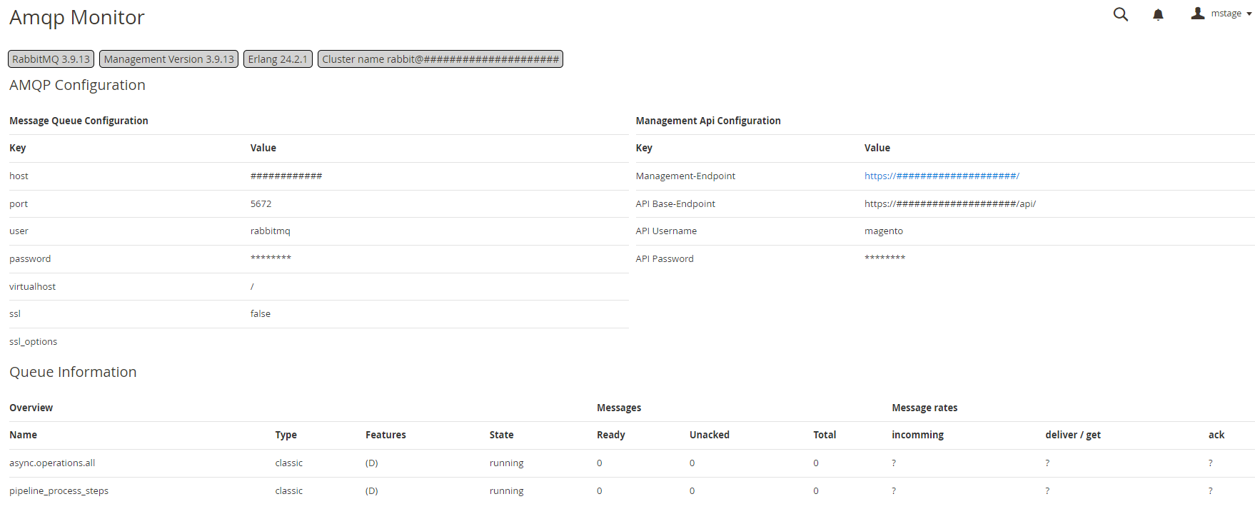 AMQP Monitor queue overview showing server version, configuration, and live queue statistics
